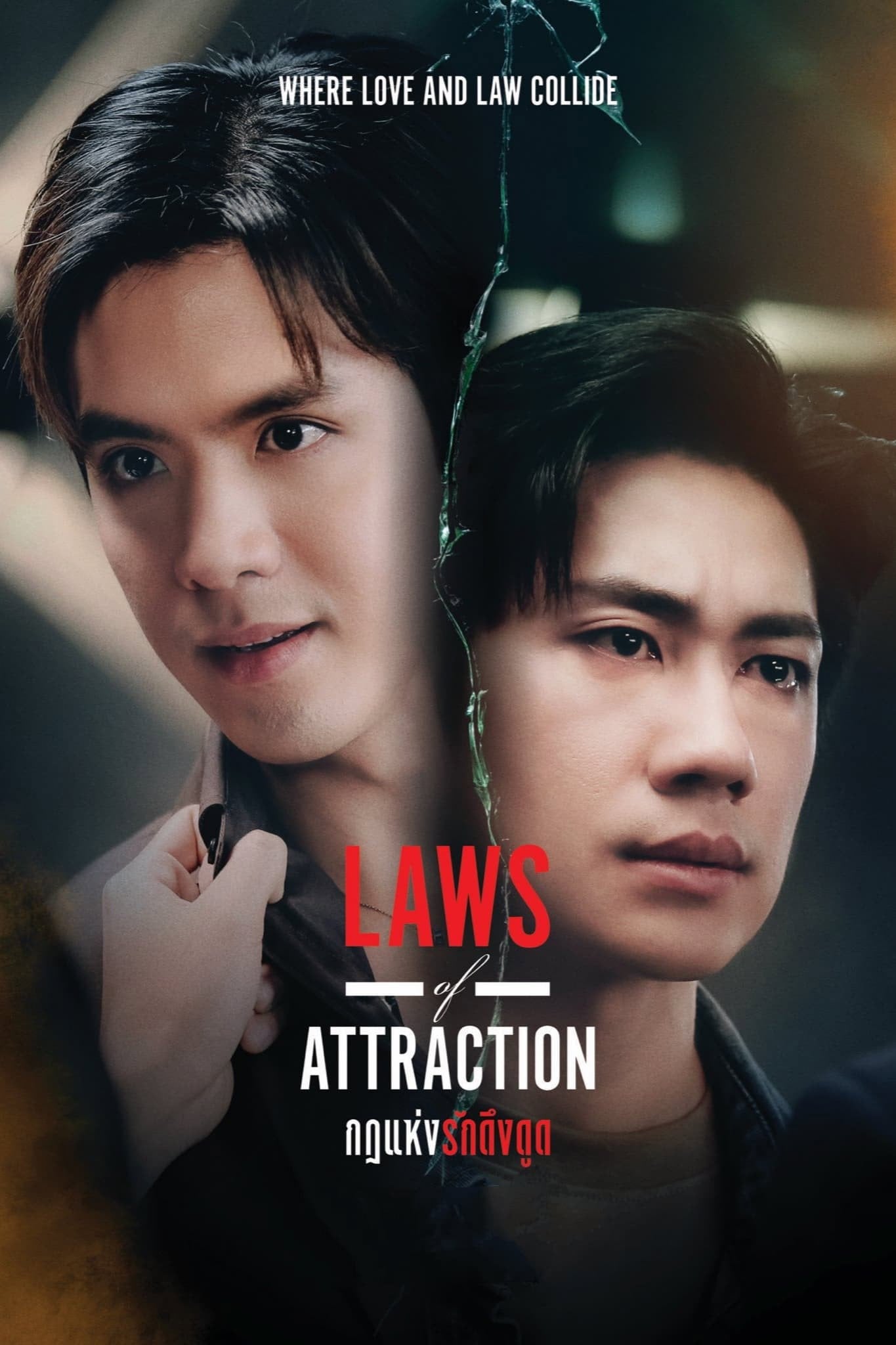Les lois de l'attraction - 2023
