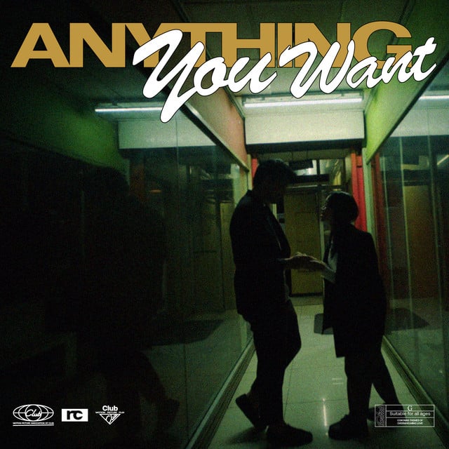 Anything You Want - Track · Reality Club
