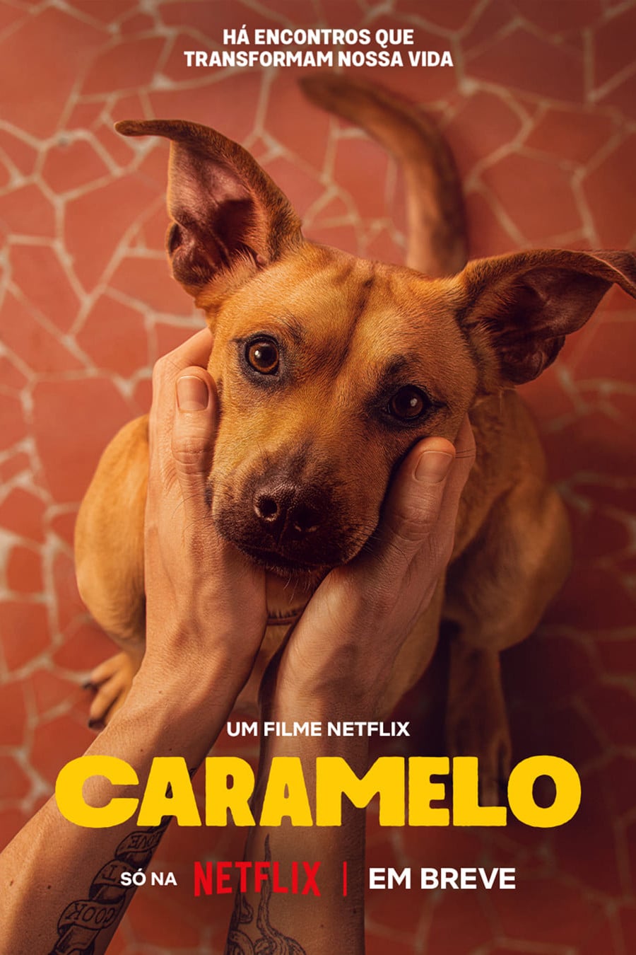 Caramelo - Diego Freitas · 2025