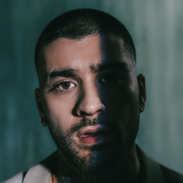 ZAYN - Artist