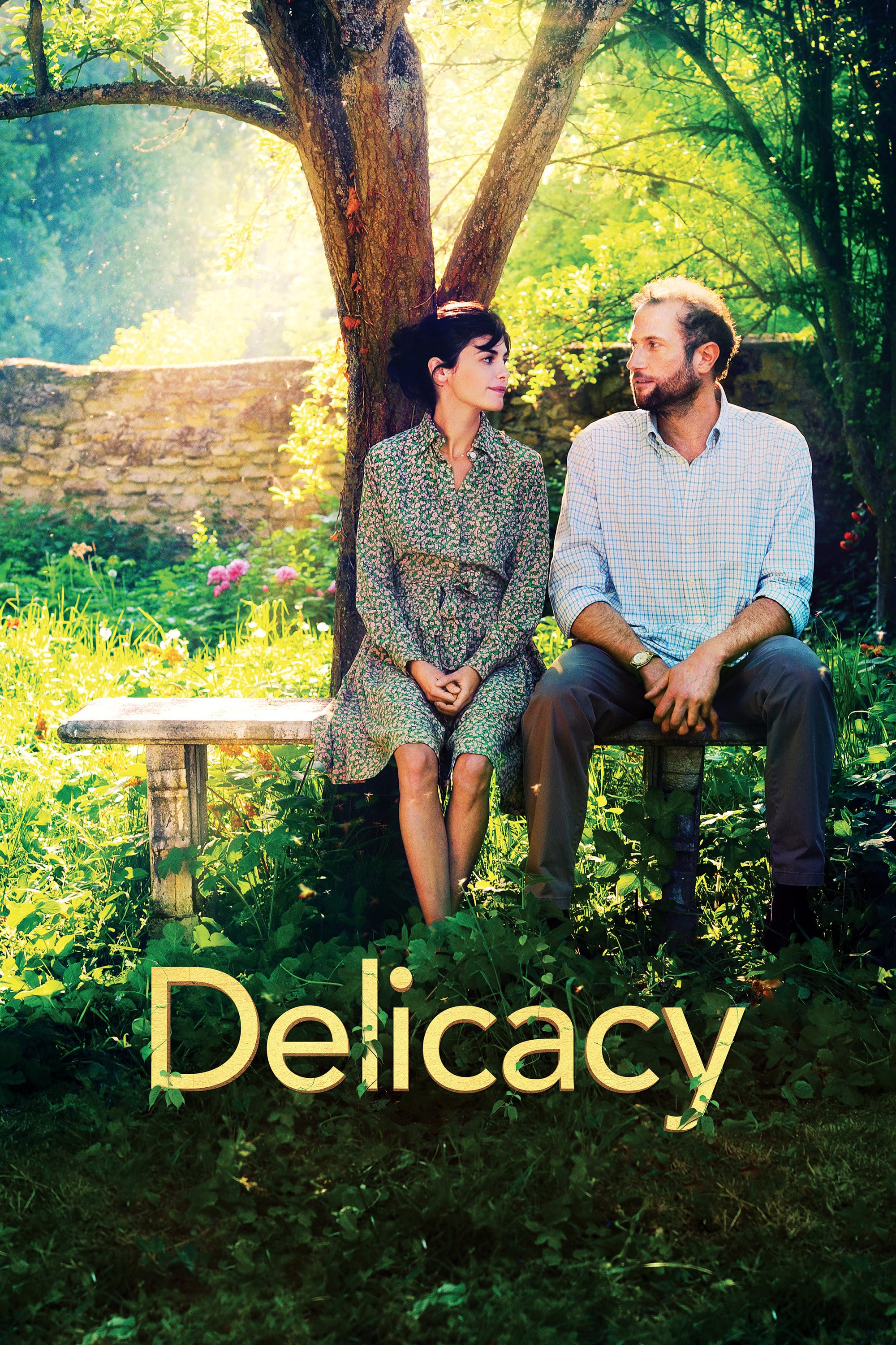 La Délicatesse - David Foenkinos · 2011