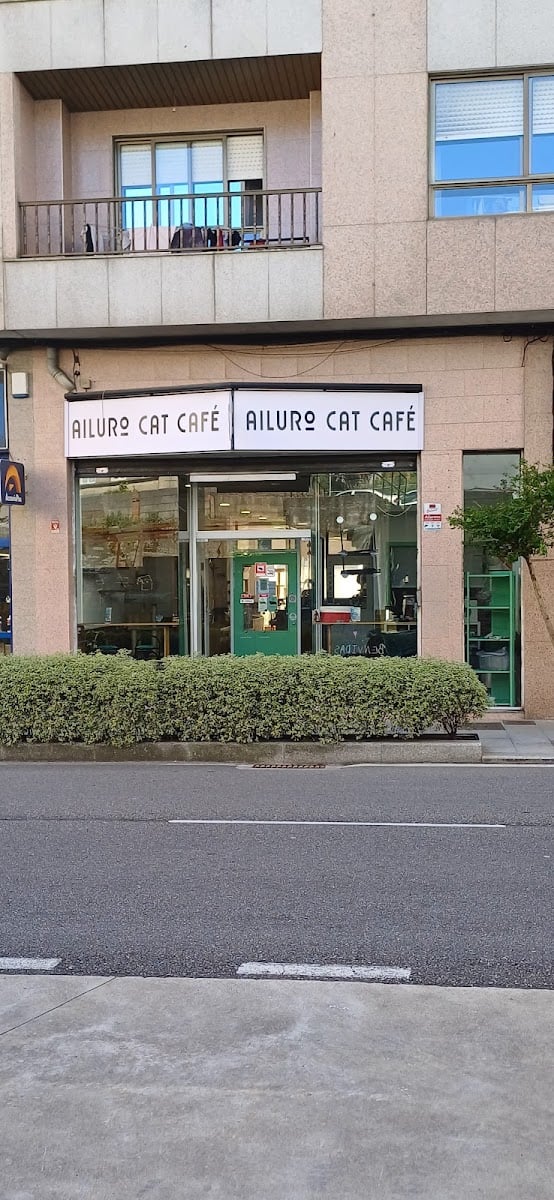 Ailuro Cat Café