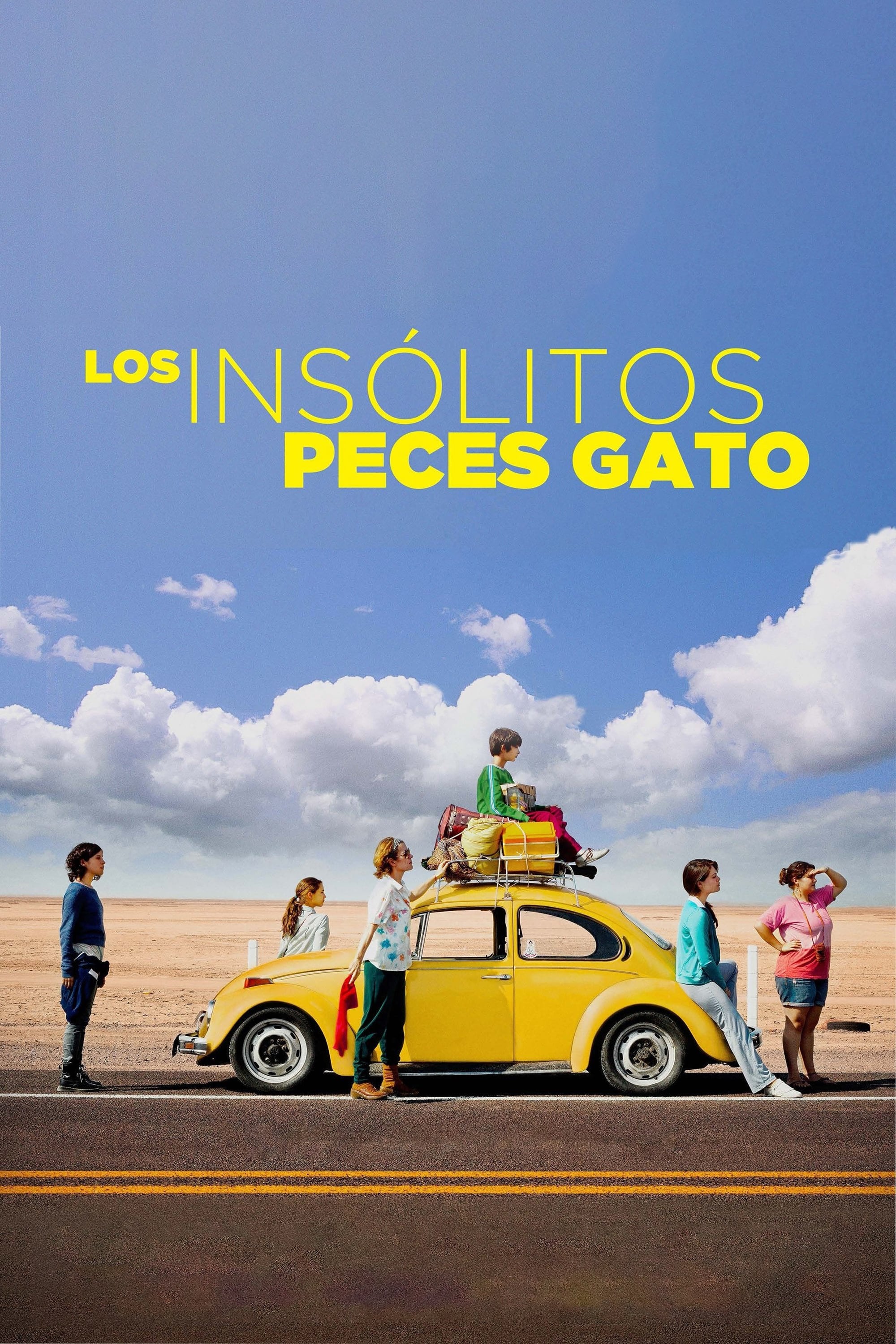 Los ins贸litos peces gato - Claudia Sainte-Luce 路 2013
