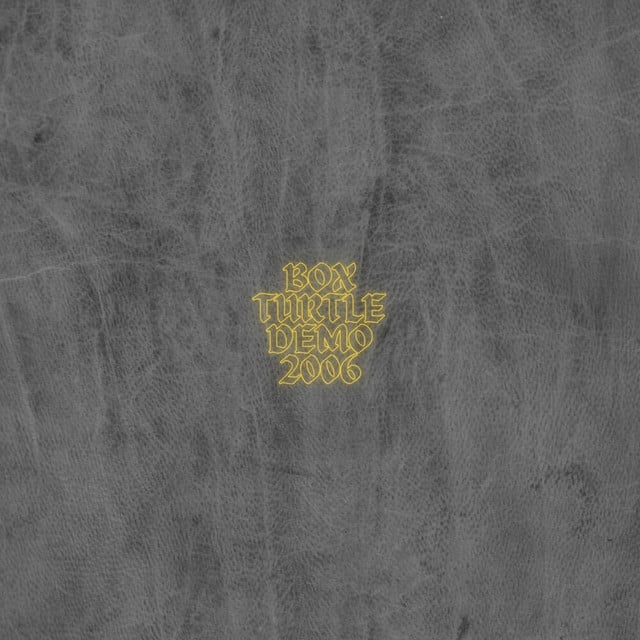 Box Turtle, Magnificent Isn't She (2006 Demo) - Album · Lady Radiator