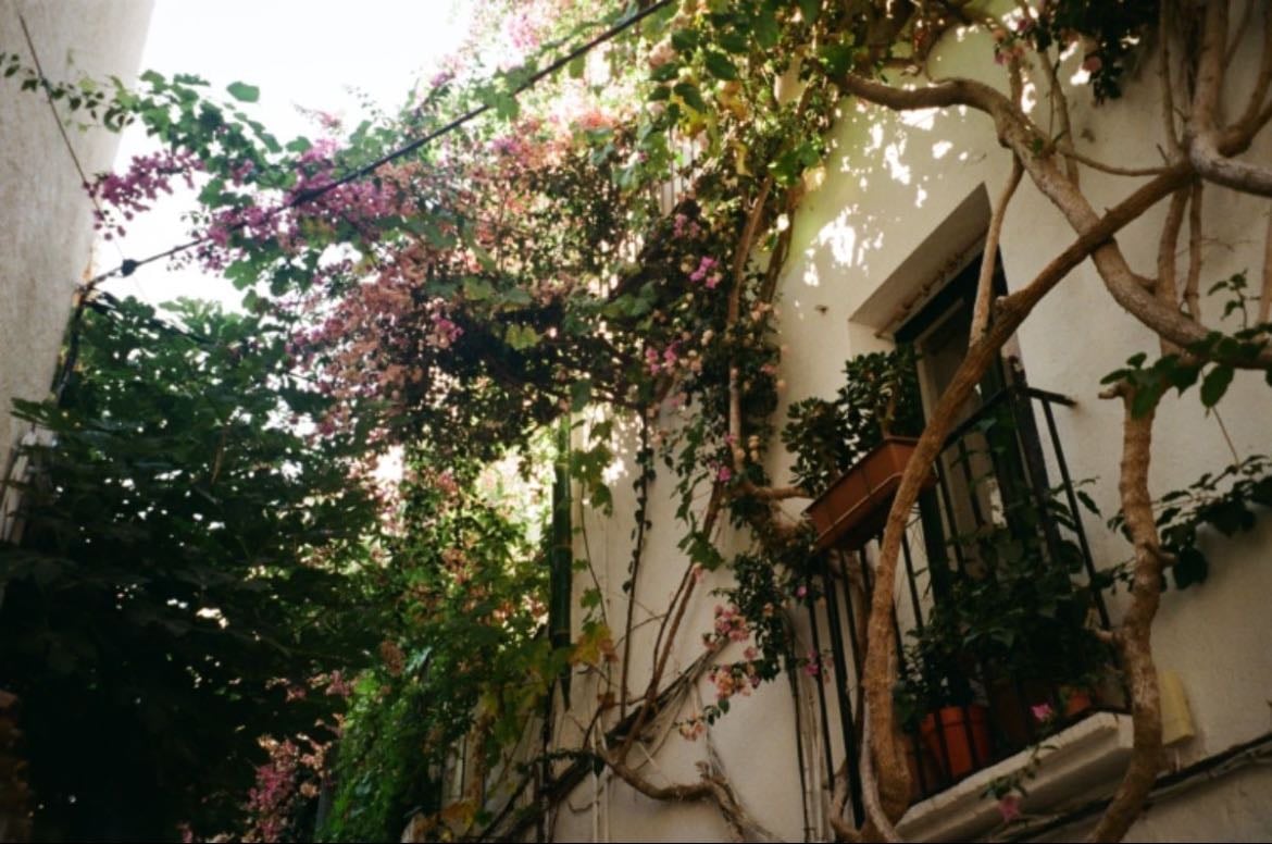 spain