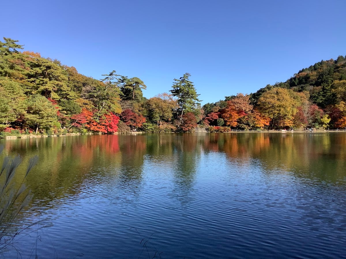 再度公園