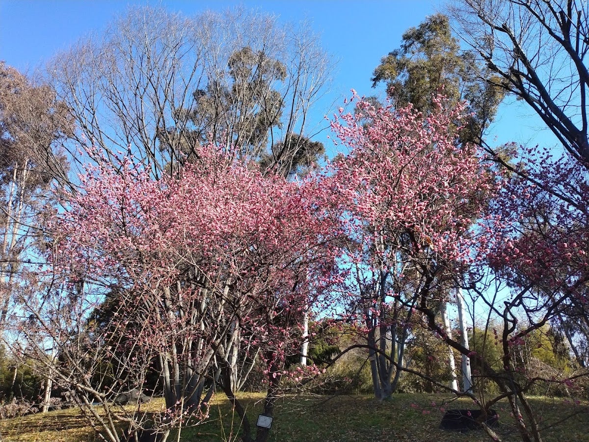 山田池公園 - 大阪