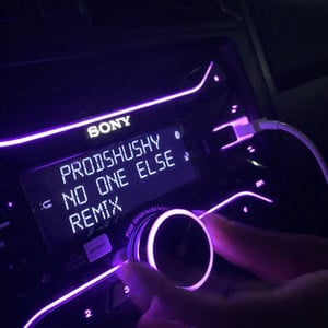 No One Else (TikTok Remix) - Shushy - Playlist