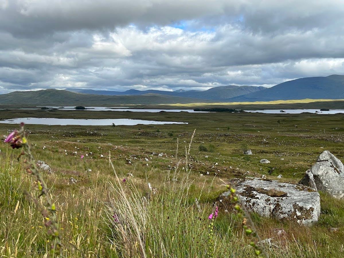 Rannoch Moor Viewpoint - This vast, desolate moorland appears in The Deathly Hallows: Part 1, where Death Eaters halt the Hogwarts Express.