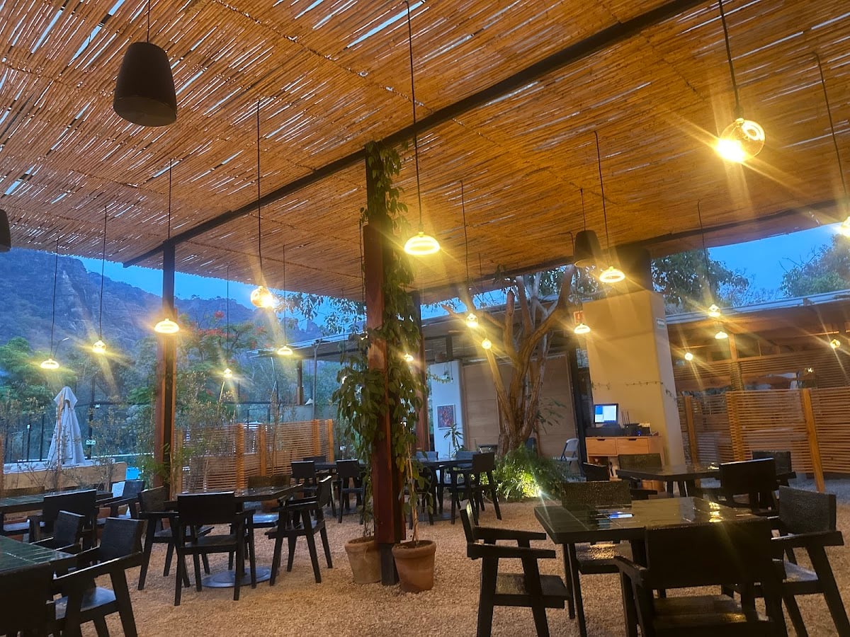 9 Olivos cocina - Con pádel