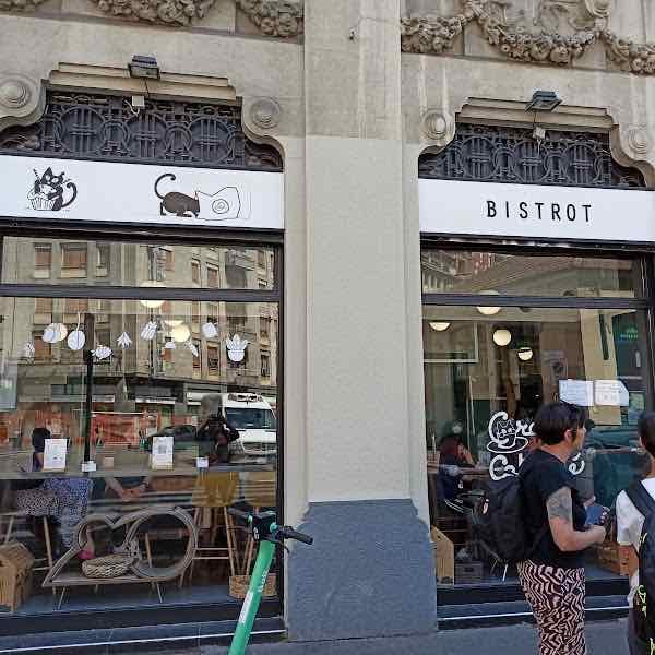 Crazy Cat Café