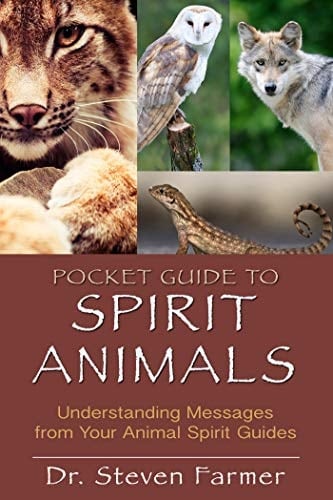 Pocket Guide to Spirit Animals Understanding Messages from Your Animal Spirit Guides - Steven D. Farmer · 2012