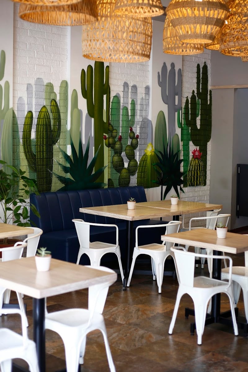 Helia Cocina Suculenta