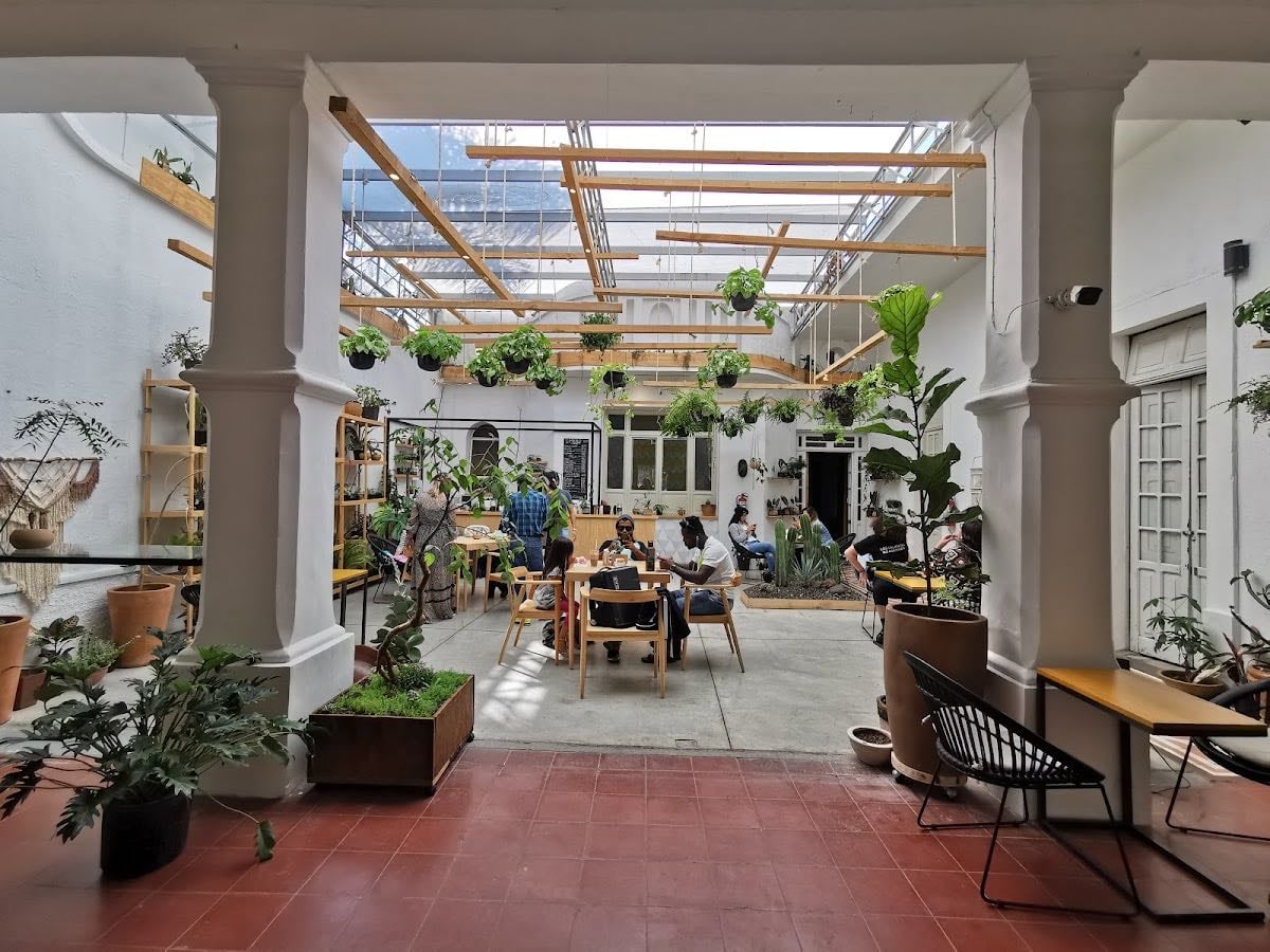 Endémico Vivero - Café