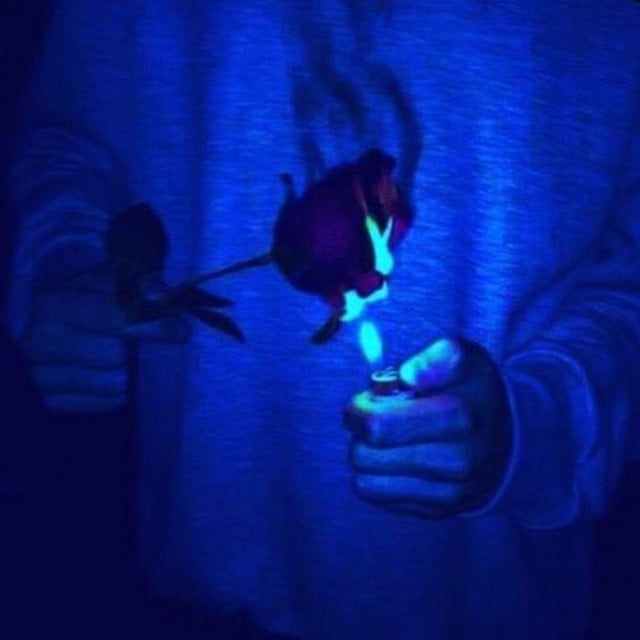 Music to Watch Boys To x I Wanna Be Yours - Track · Linear Phase