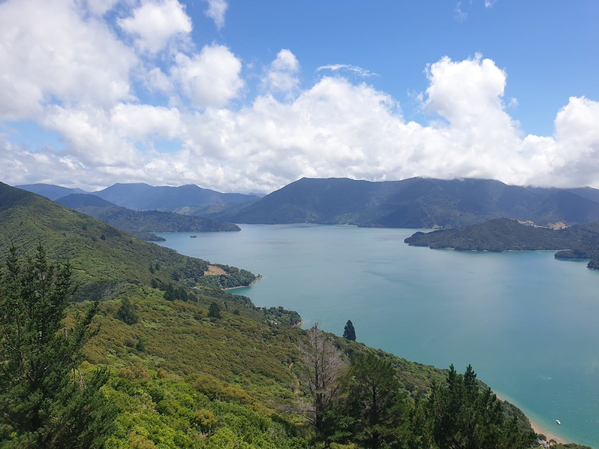 Queen Charlotte Sound / Tōtaranui