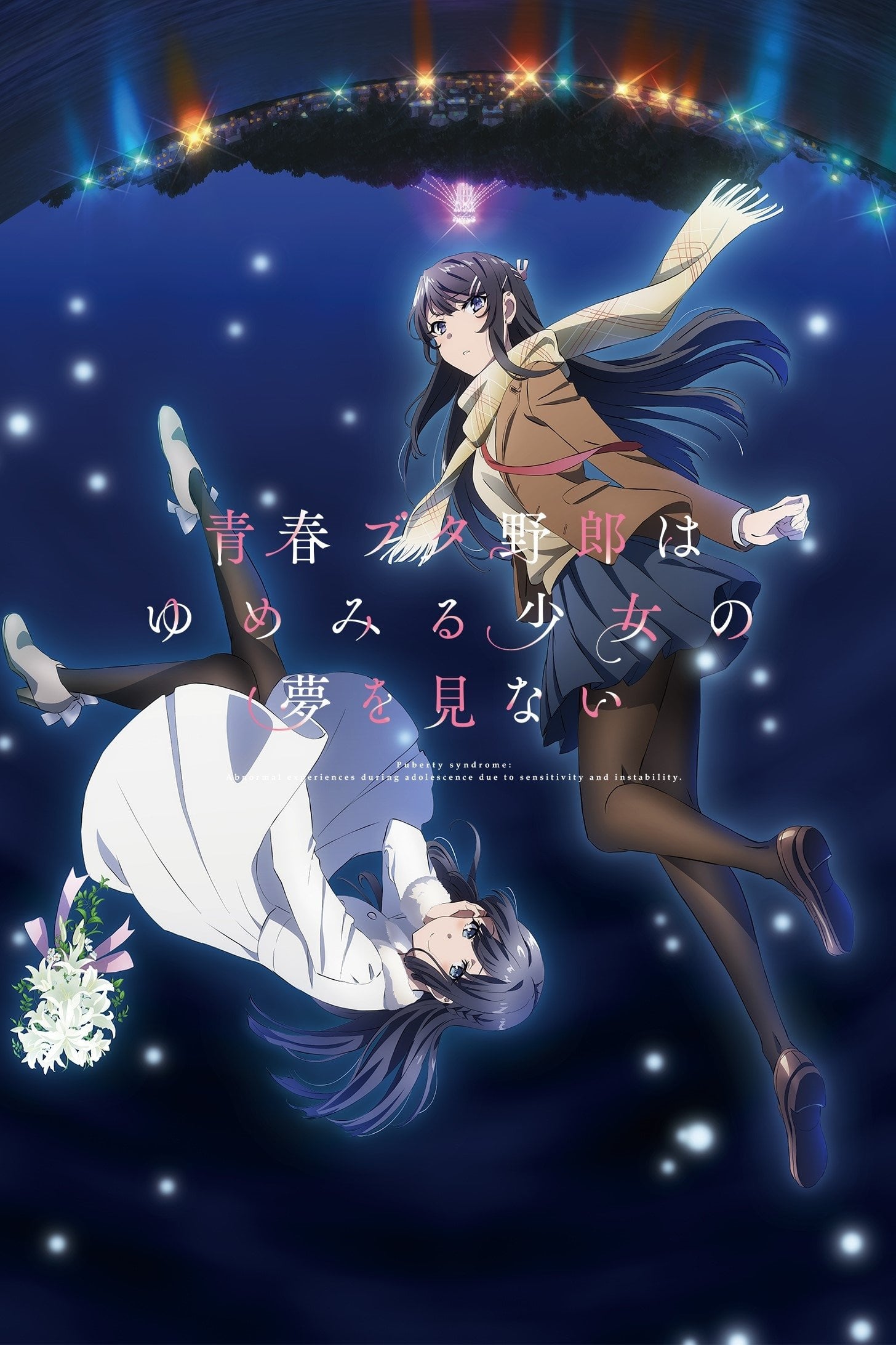 Rascal Does Not Dream of a Dreaming Girl - 増井壮一 · 2019