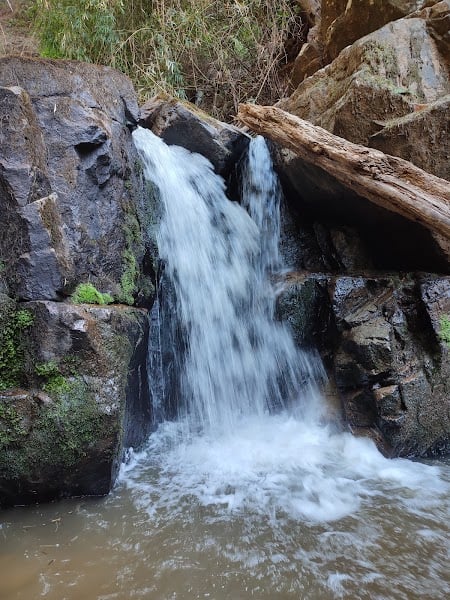 Cascada Leonera - Park · Bío Bío