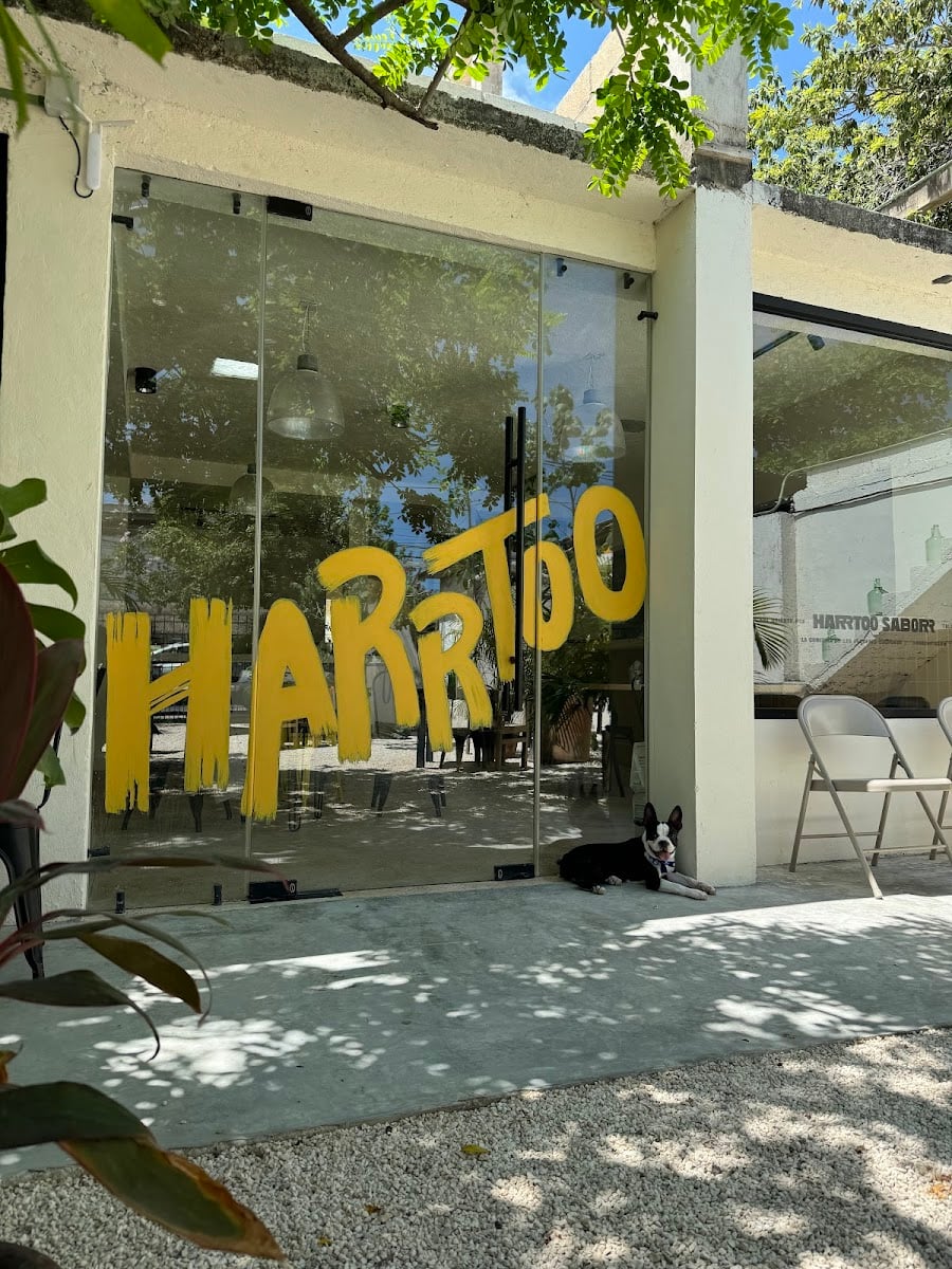 HARRTOO