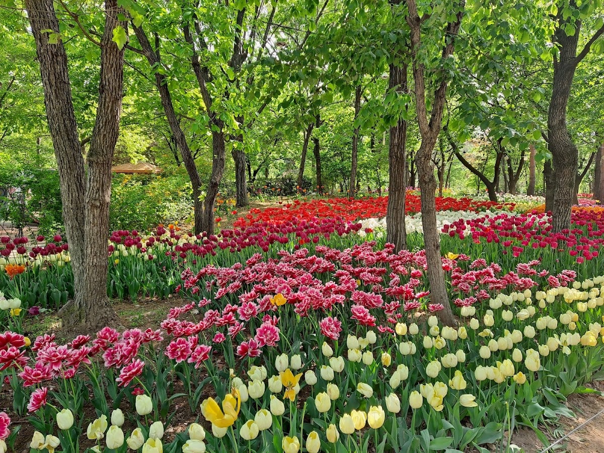 Seoul Forest