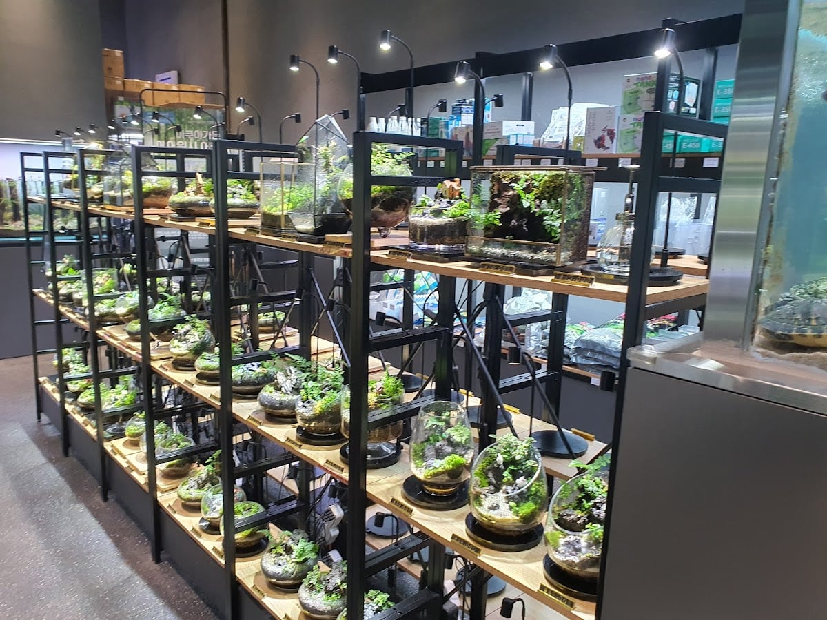 Aqua garden cafe Lotte World Tower