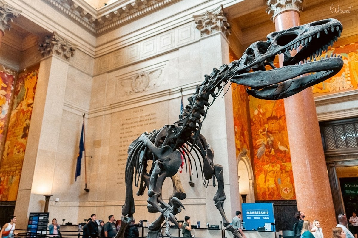 Museo Americano de Historia Natural