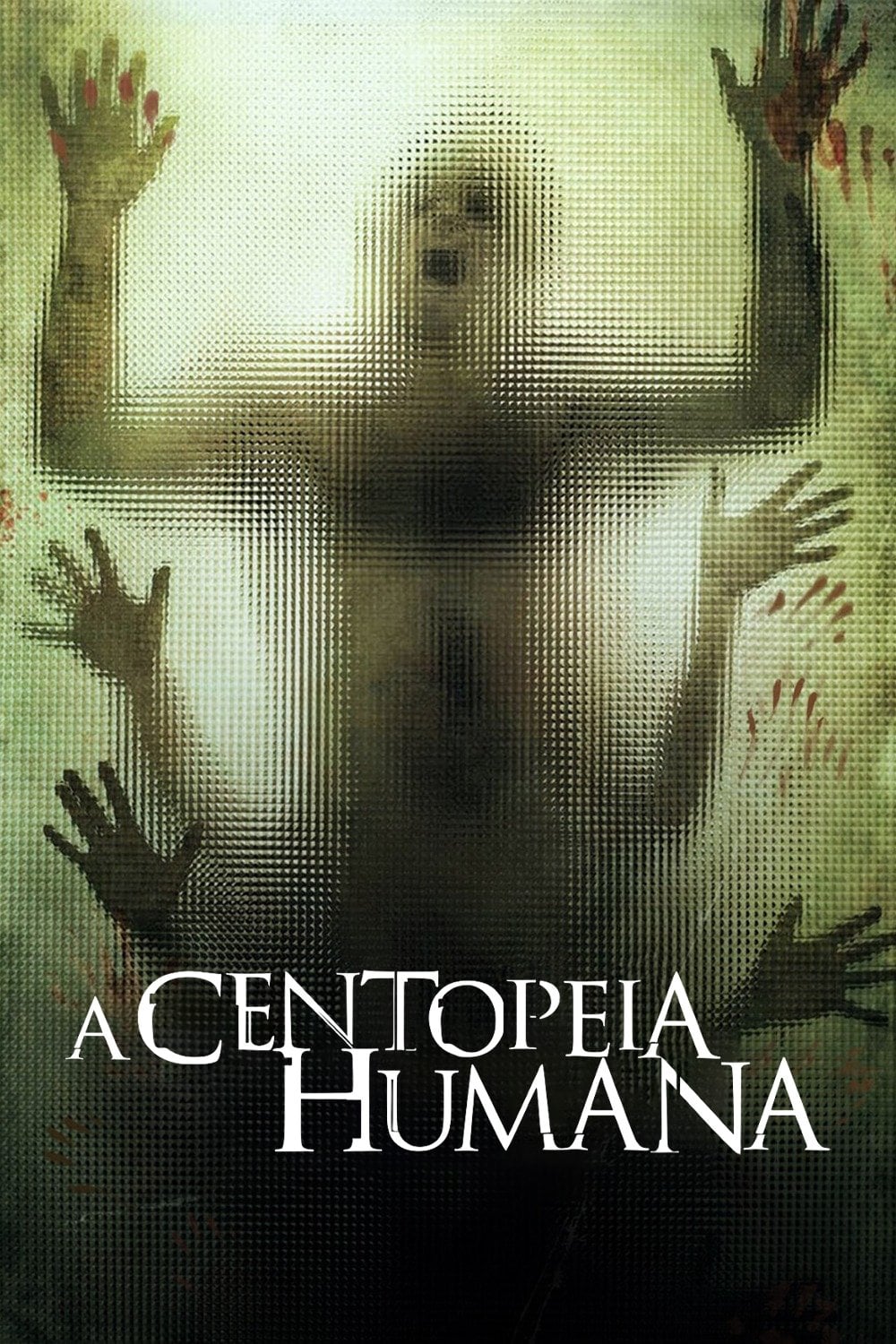 A Centopéia Humana - Tom Six · 2009