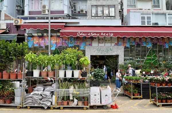 flower market rd