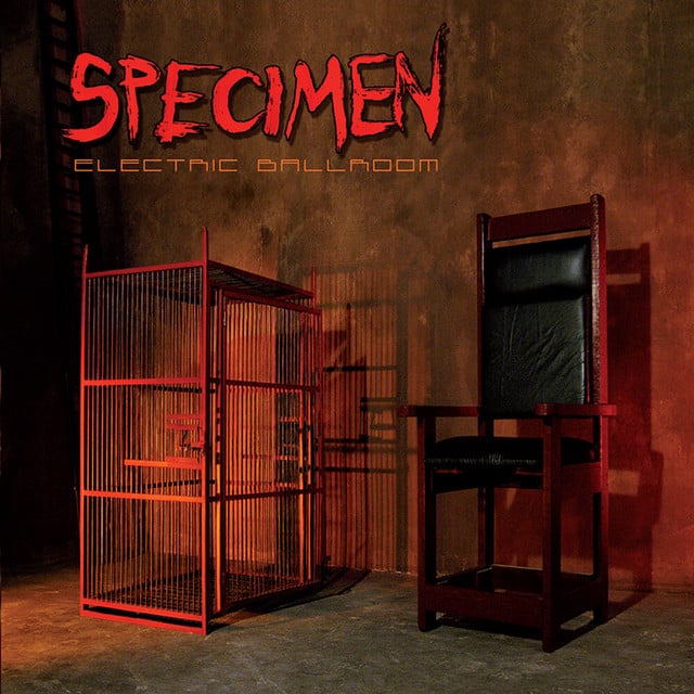 Electric Ballroom - Album · Specimen