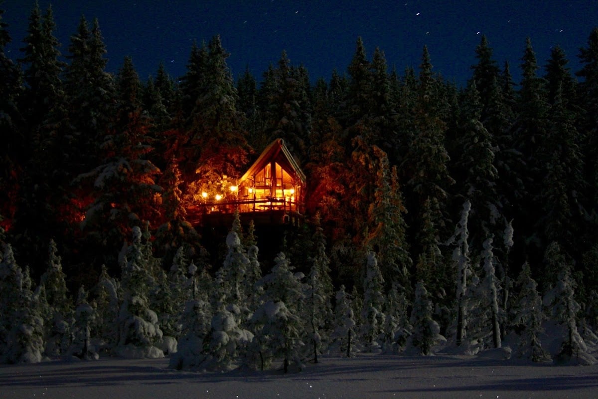 Tretopphytter - Tree Top Hut - Treehouse - norway