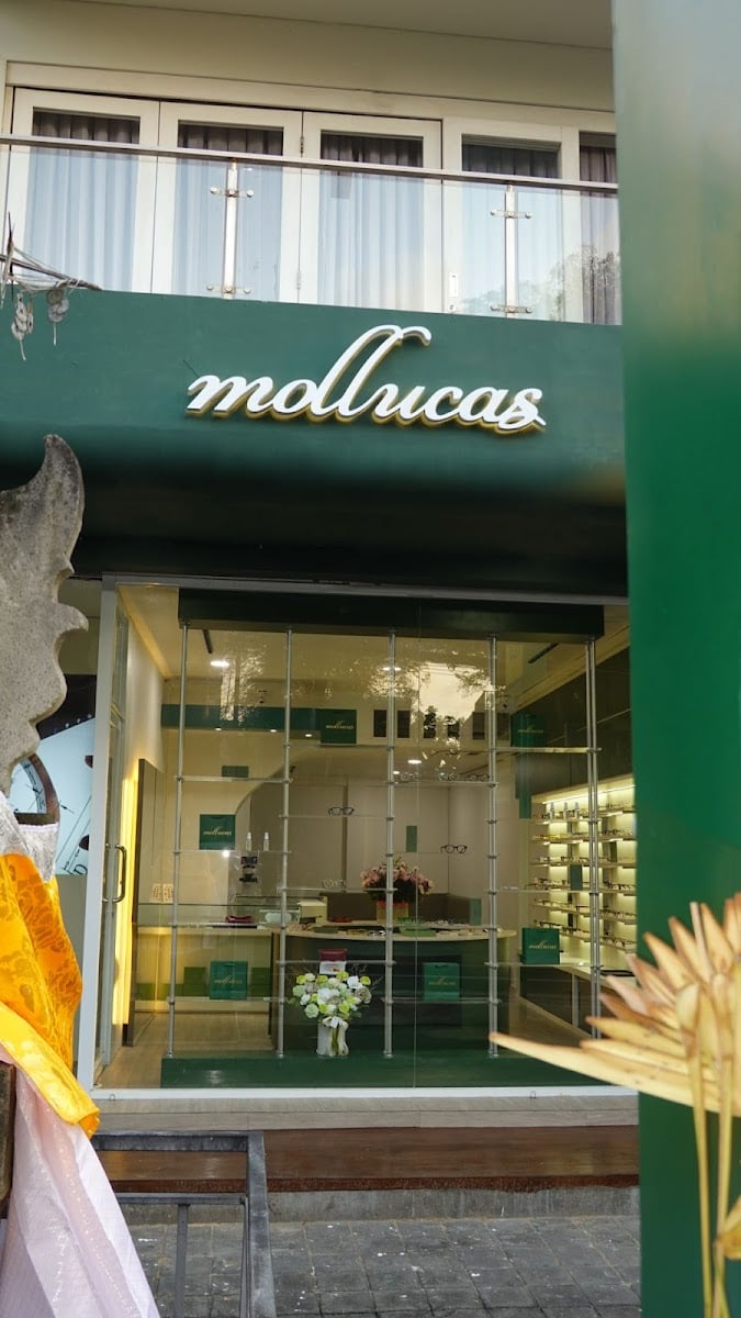 Mollucas Eyewear Berawa, Canggu, Bali - メガネ