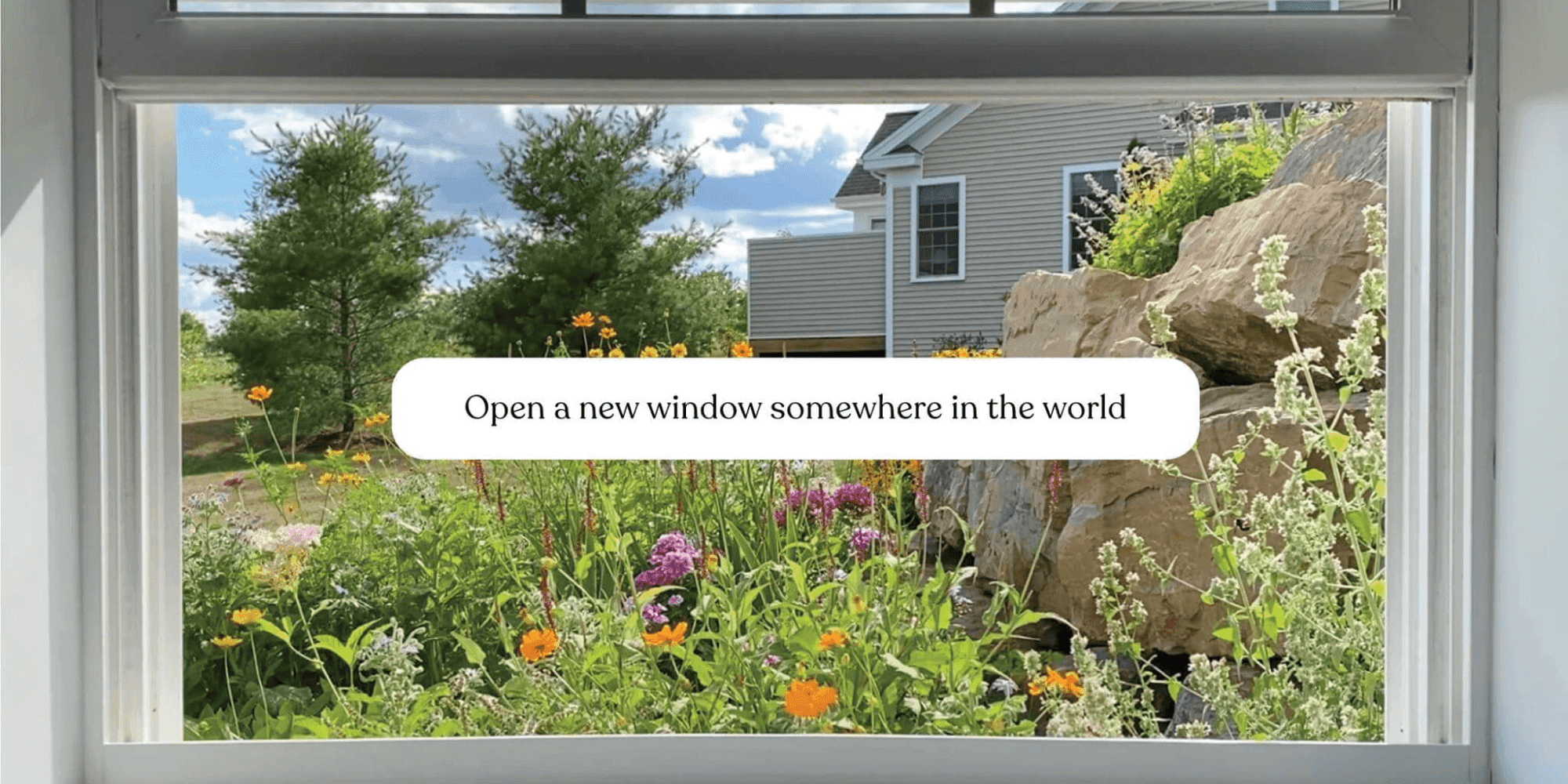 WindowSwap - the calmest place on the internet