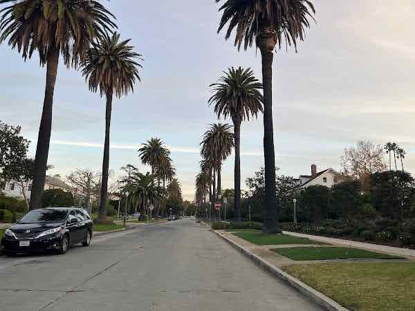 THE PALM TREE LINED STREET WITH A VIEW OF THE HOLLYWOOD SIGN