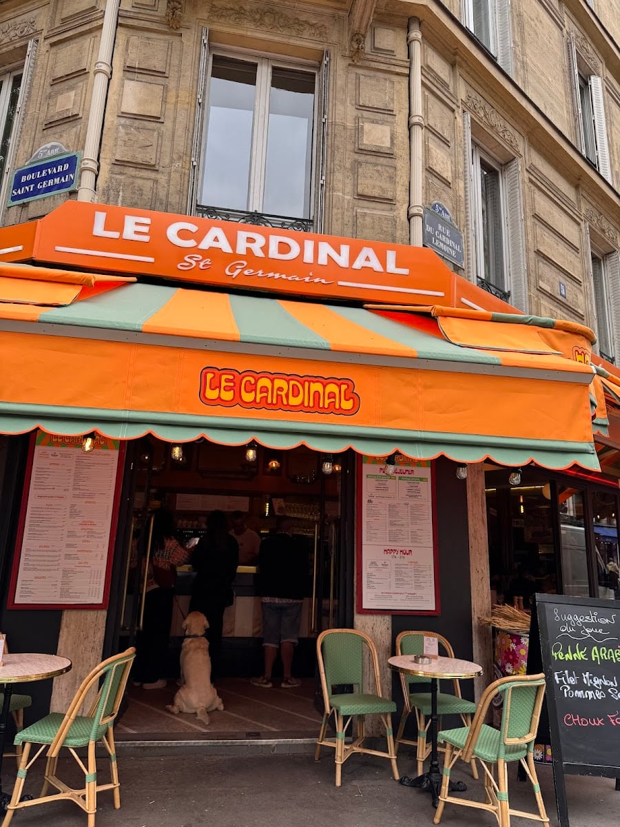 Le Cardinal Saint-Germain