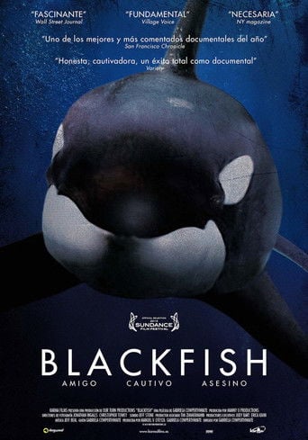 Blackfish - Gabriela Cowperthwaite · 2013