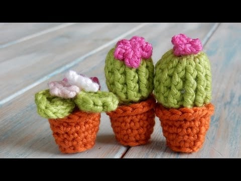Mini cactus - YouTube