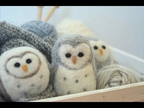 Owl - Shayda Campbell