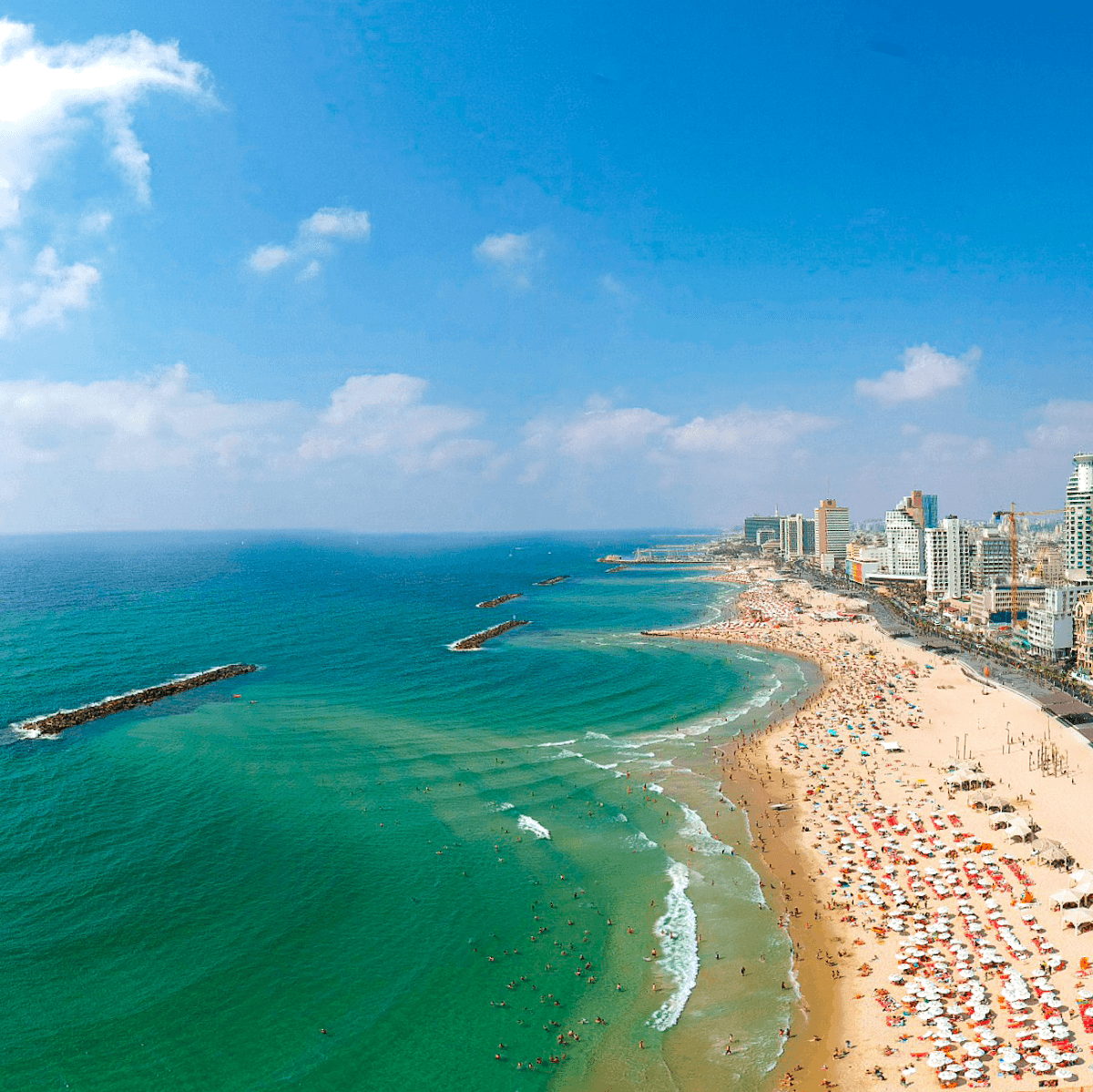 Jerusalem Beach - 🏖️