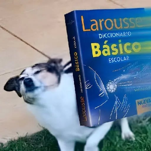 leer el diccionario - para aprender nuevo vocabulario :)