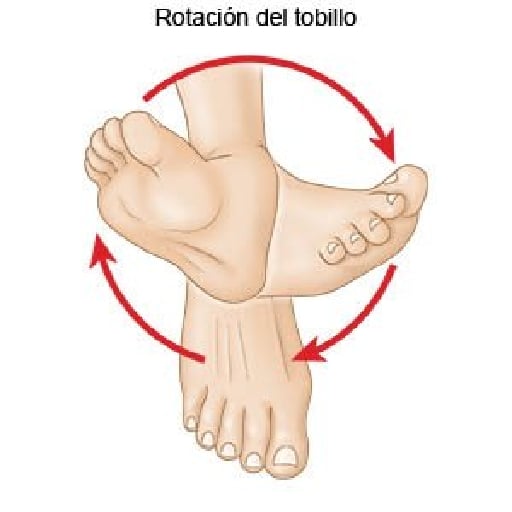 Movilidad articular - Calentamiento