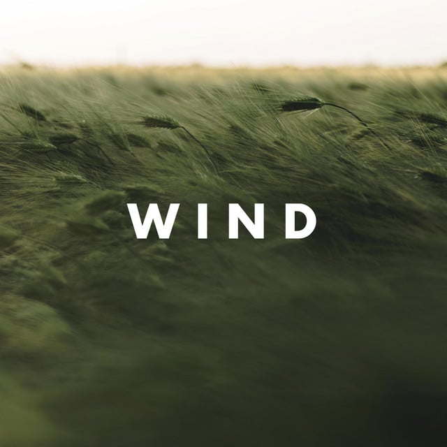 Wind - Song Β· prm., Paul Roggenbuck