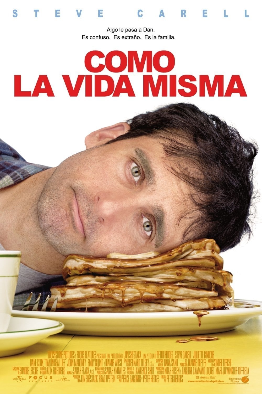 Como la vida misma - Peter Hedges · 2007