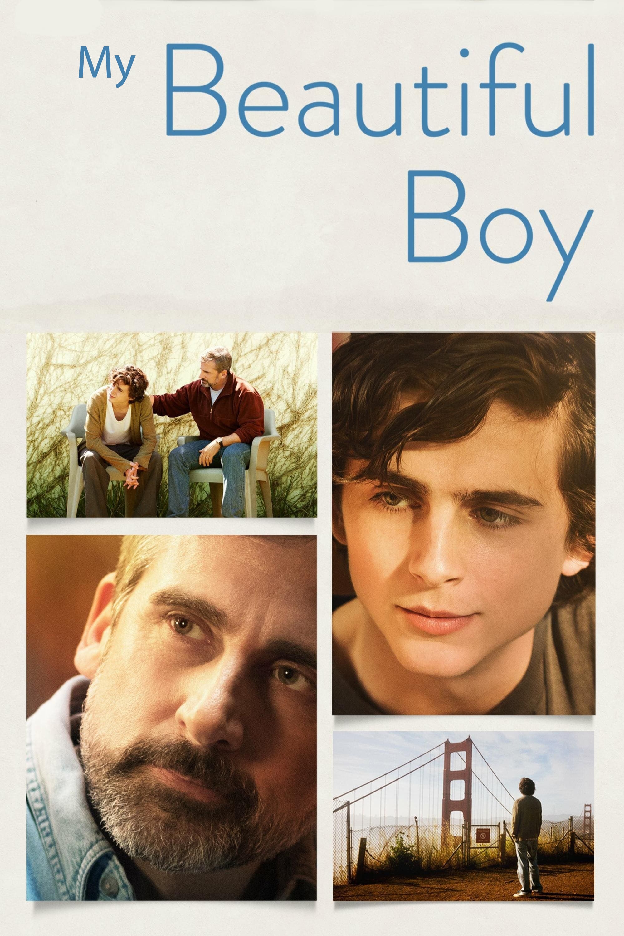 Beautiful Boy - Felix van Groeningen · 2018