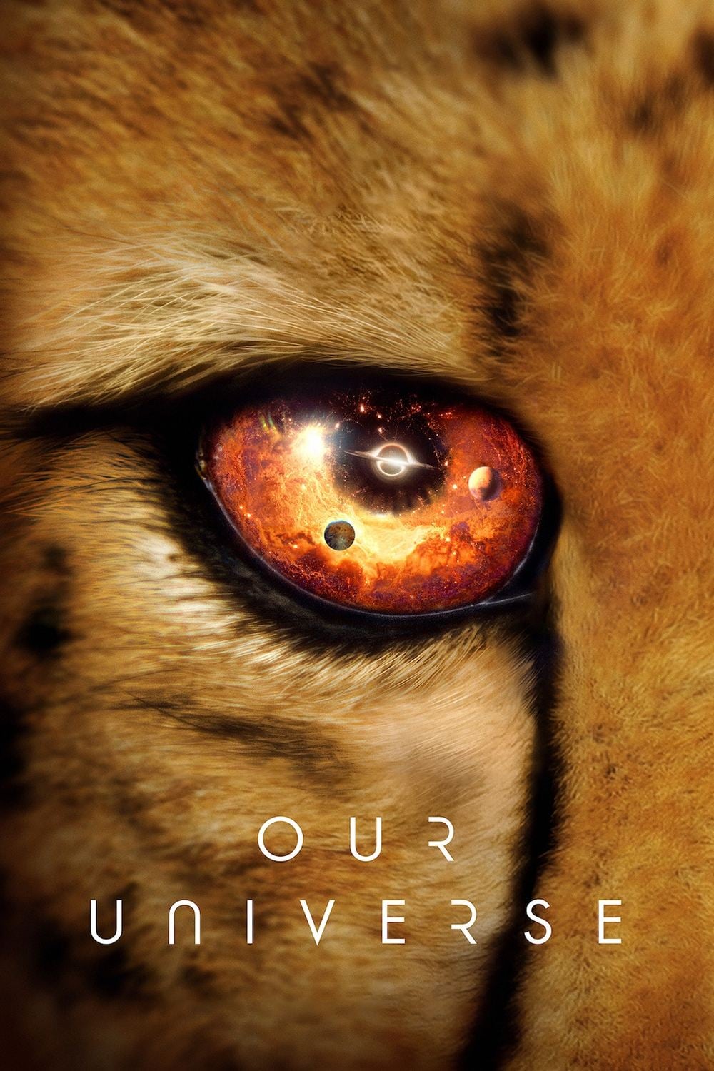 Our Universe - 2022