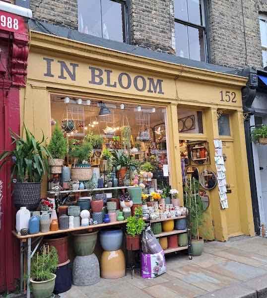 Columbia Road Flower Market - On Sundays
