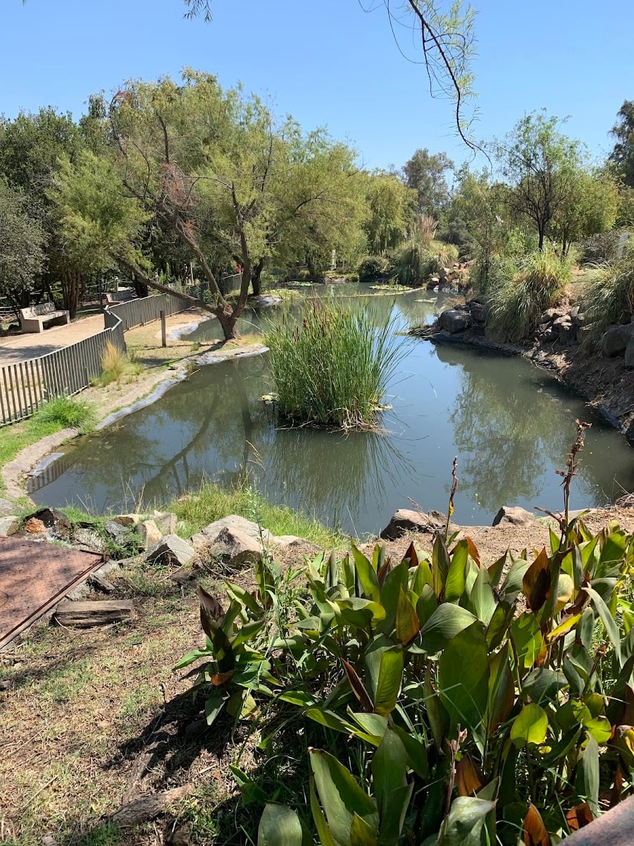 Bosque Santiago - Bosque