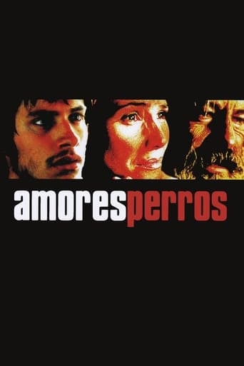 Amores perros - Alejandro González Iñárritu · 2000