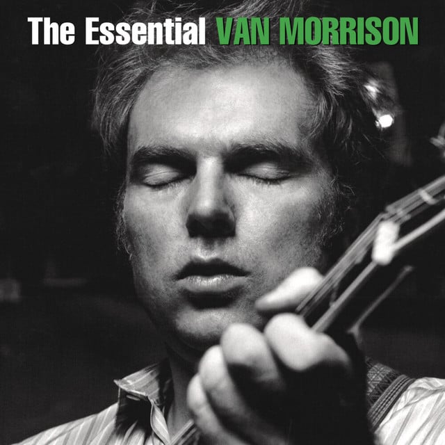 Tupelo Honey - Song · Van Morrison