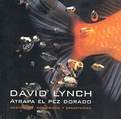 Atrapa El Pez Dorado - David Lynch · 2014