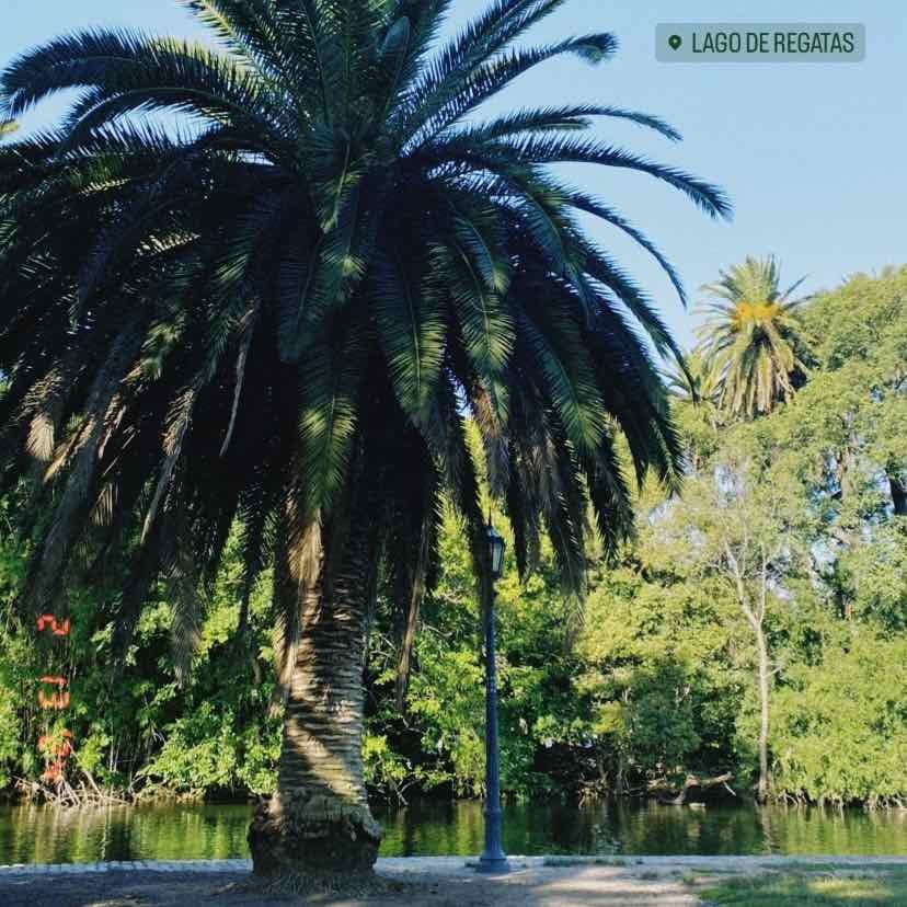 Lago de Regatas - Palermo